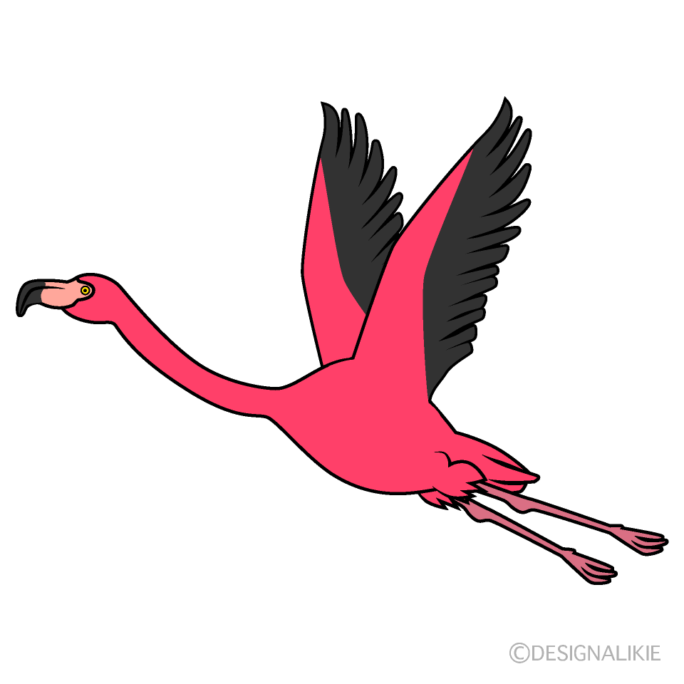 Flying Pink Flamingo