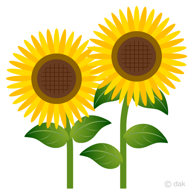 Two Simple Sunflower Clipart Free Png Image Illustoon