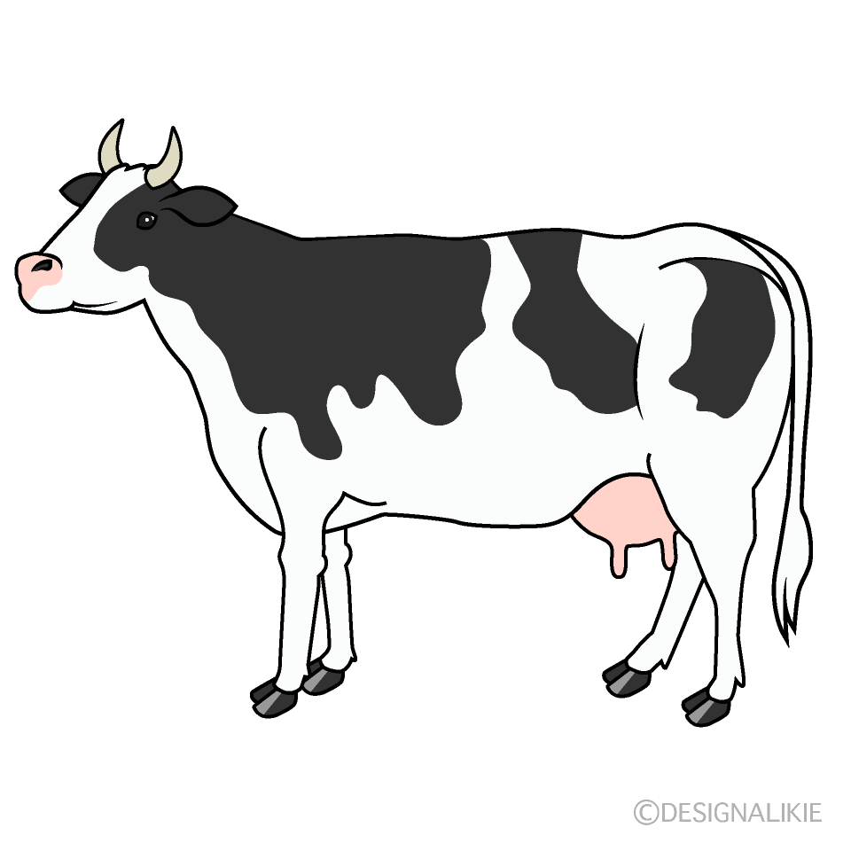 Una vaca en el fondo blanco  Vector Premium