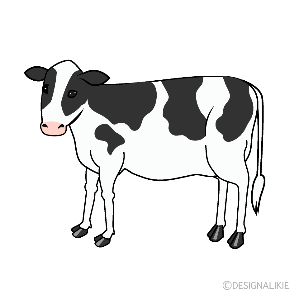 calf black and white clipart