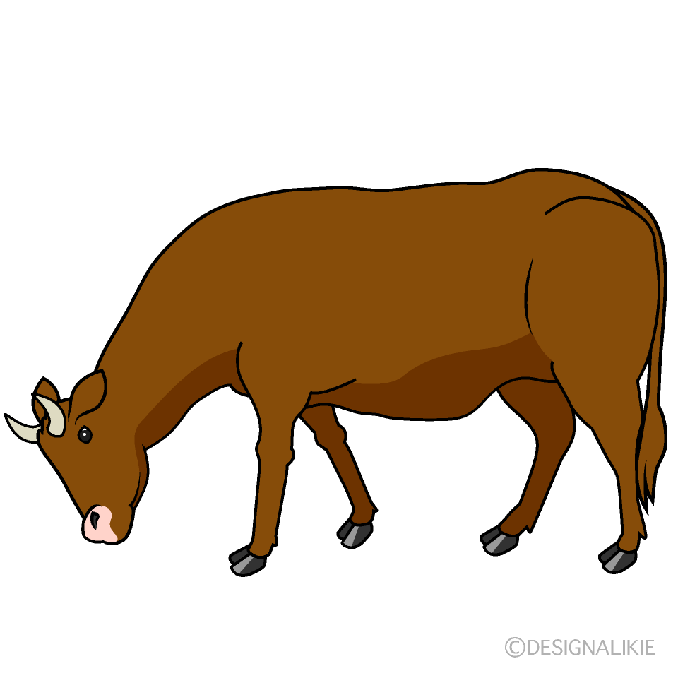 Brown Cow Eating Clip Art Free PNG Image｜Illustoon