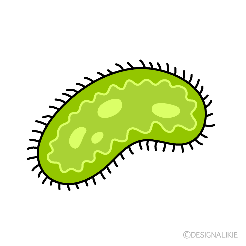 Brushed Bacteria Clip Art Free PNG Image｜Illustoon