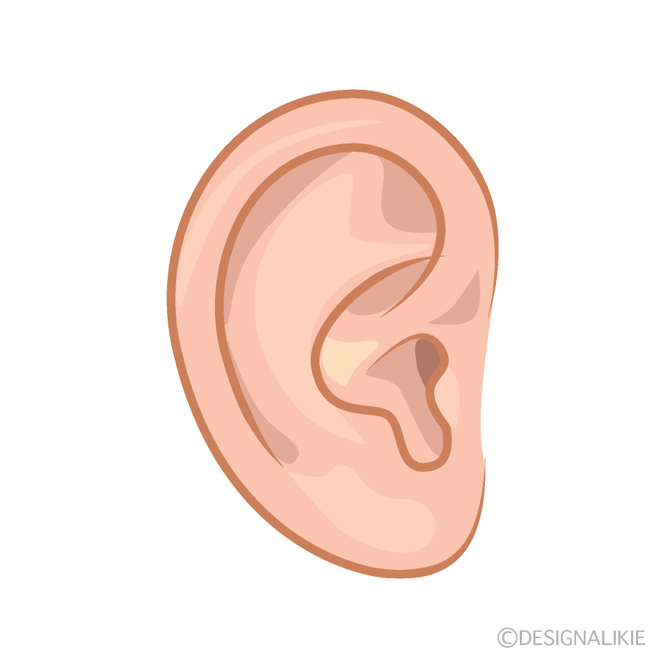 Female Ear Clip Art Free PNG Image｜Illustoon