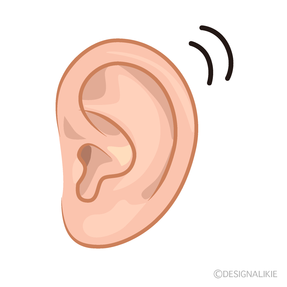Reacting Ear Clip Art Free PNG Image｜Illustoon