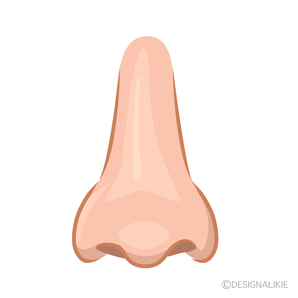 Female Nose