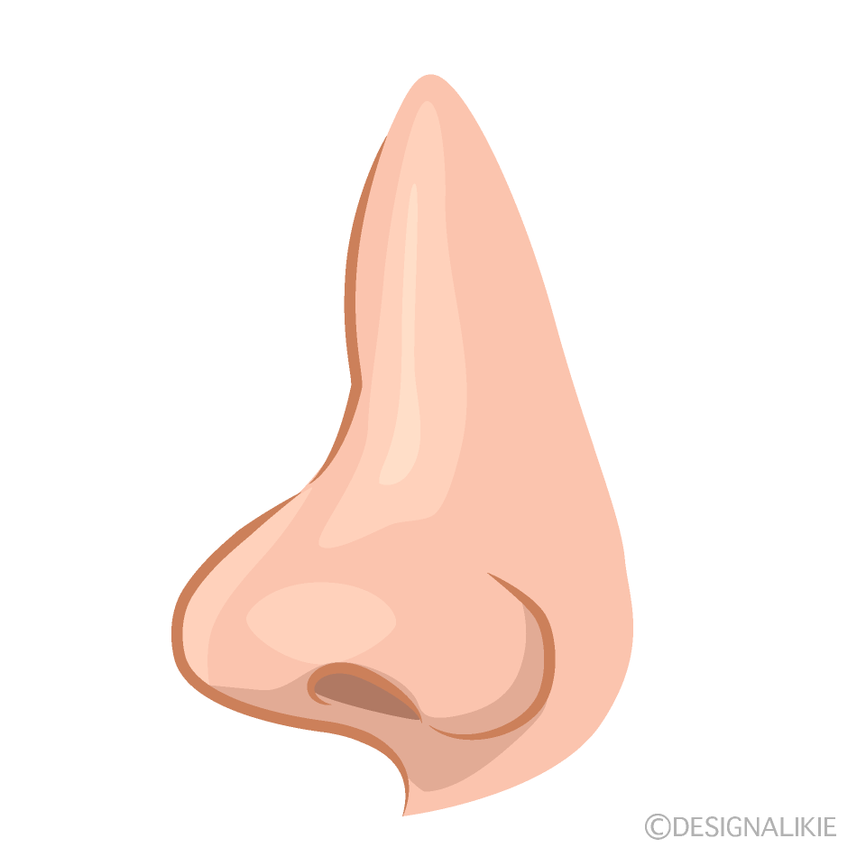 High Nose from Side Clip Art Free PNG Image｜Illustoon