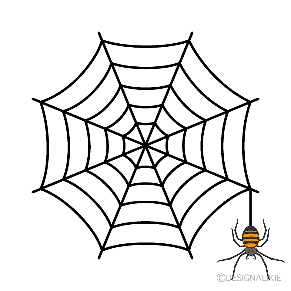 Spiderweb and Orange Spider