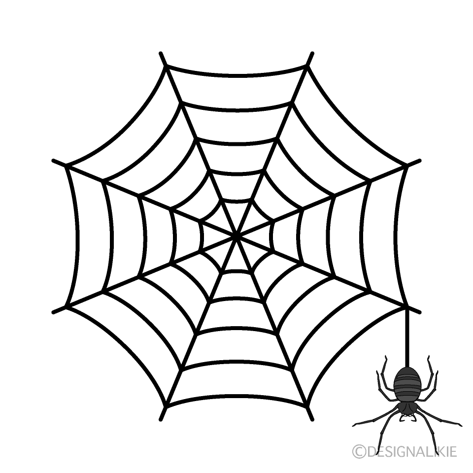 Spiderweb and black spider