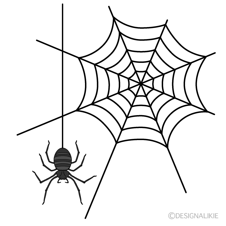 Spiderweb and hanging spider