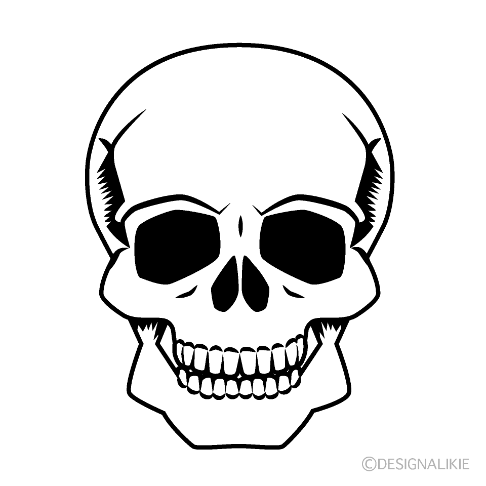 Male Skull