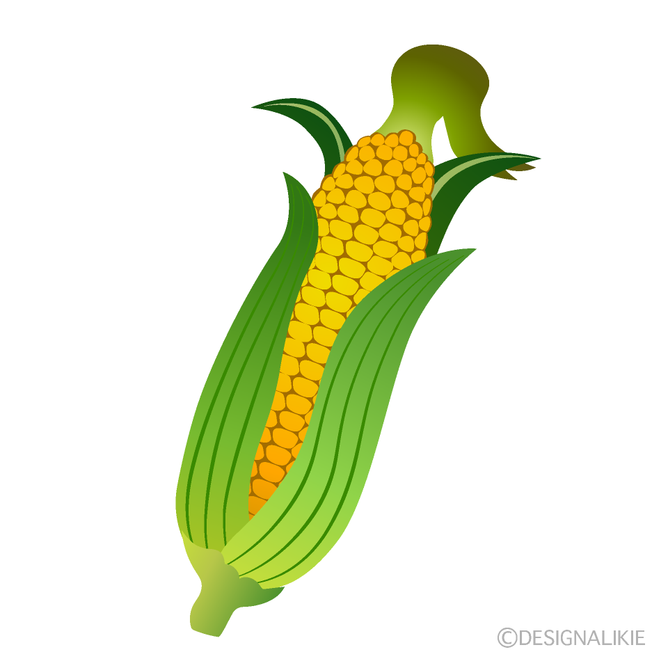Harvested Corn