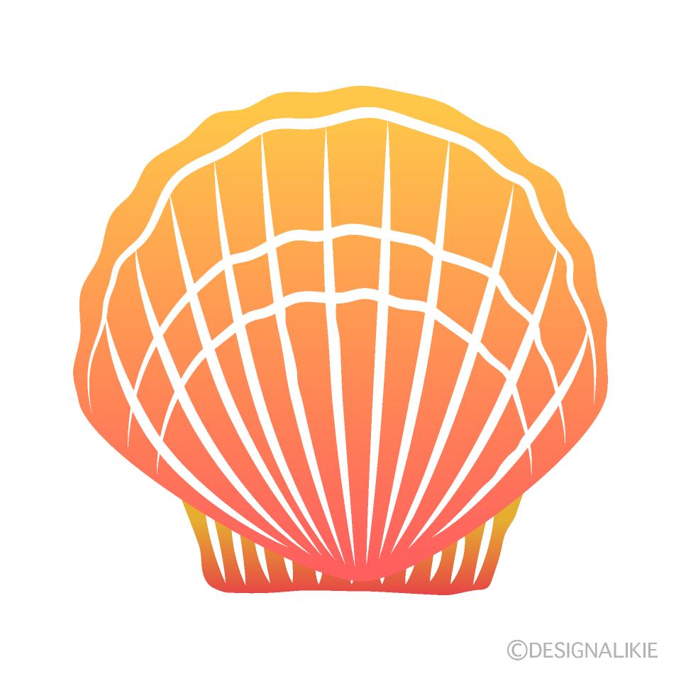 Colorful Orange Shell
