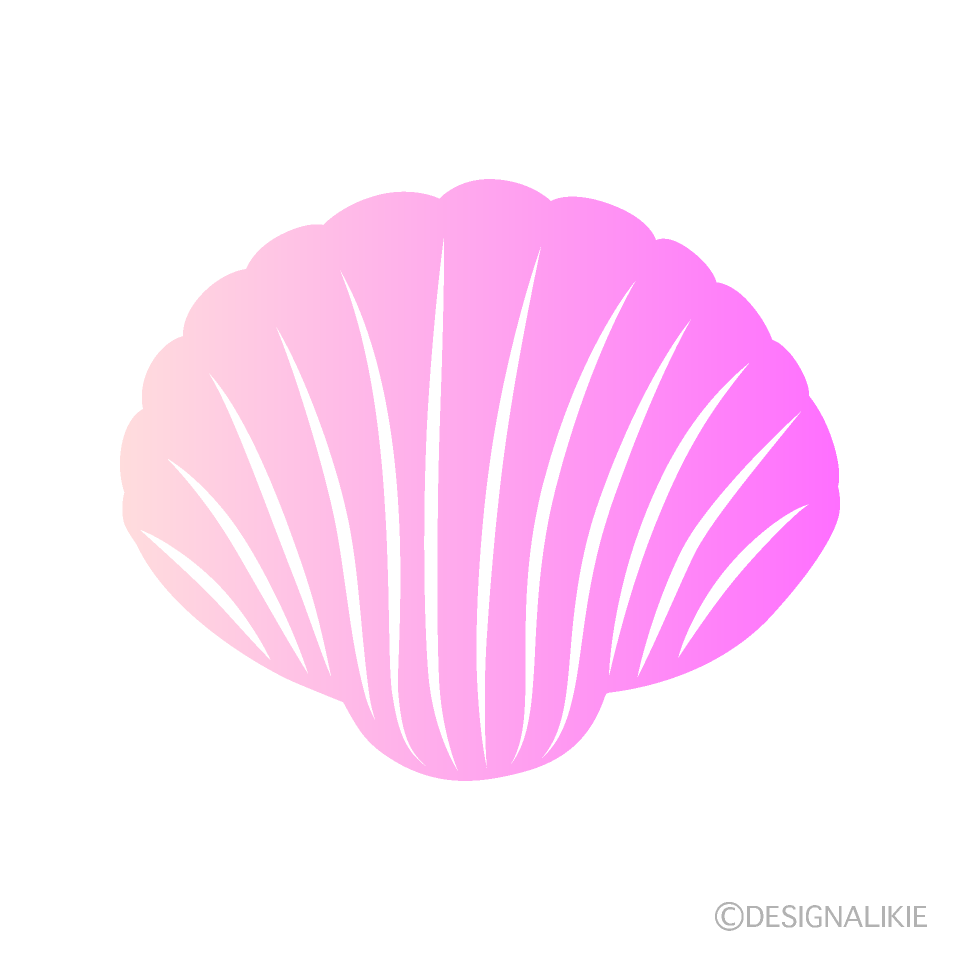 Colorful Pink Shell