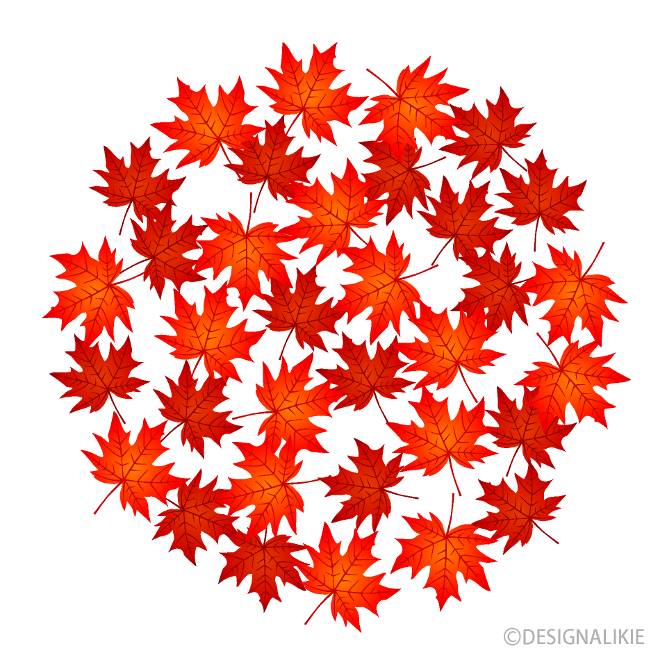 Red Fall Leaves Circle