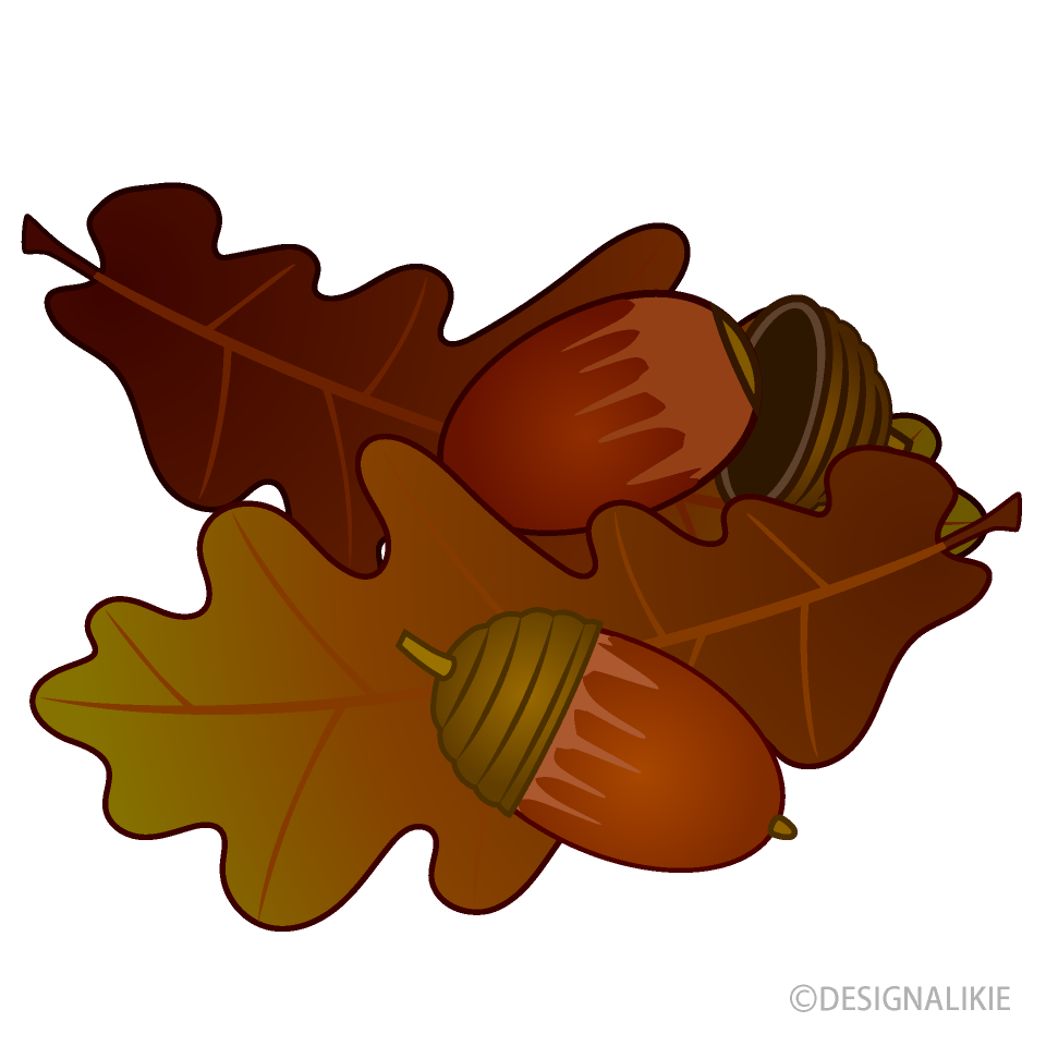 Acorns and Fallen Leaves