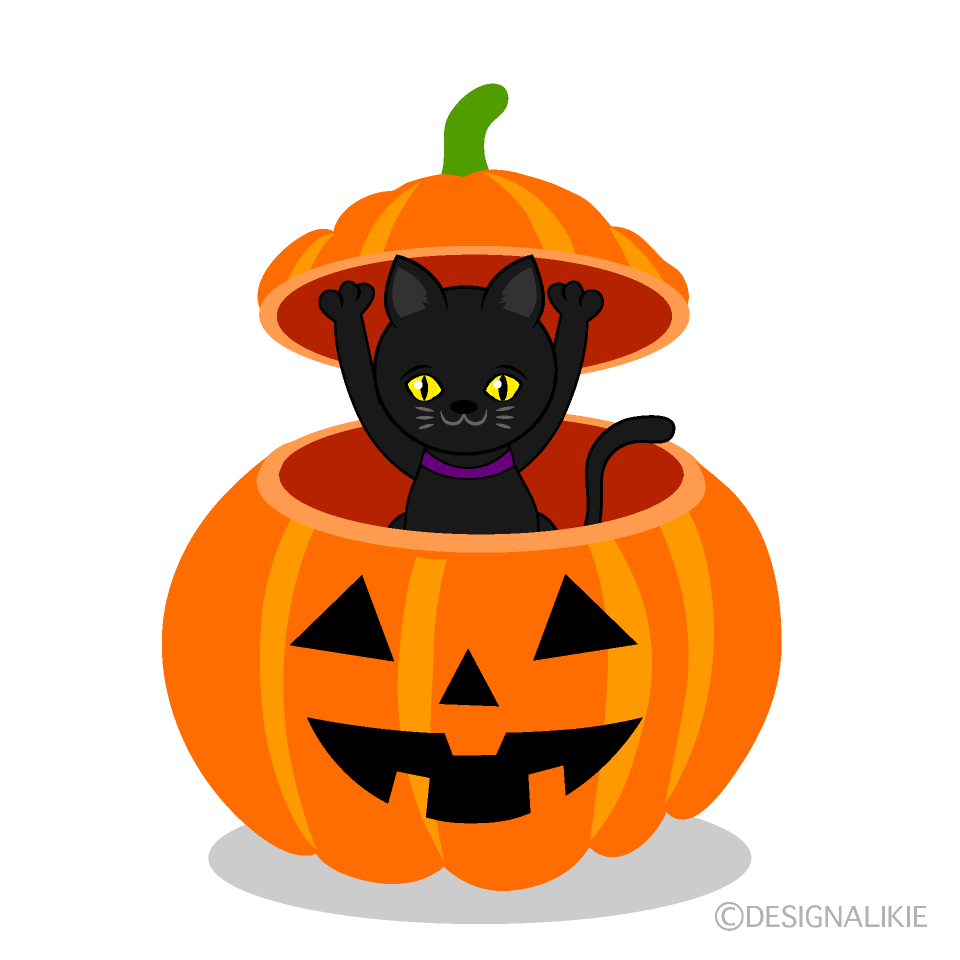 Black Cat in Halloween Pumpkin