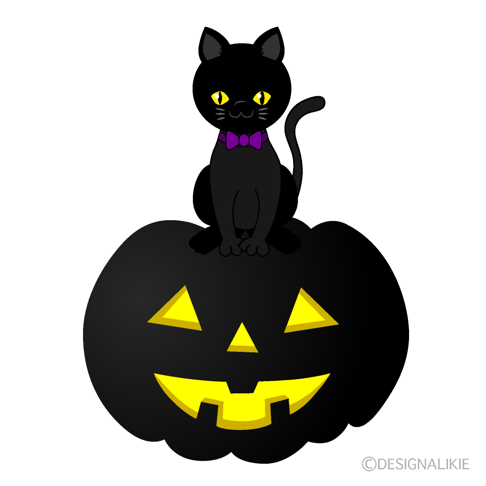 Black Cat on Black Pumpkin