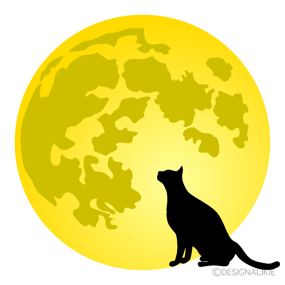 Black Cat Silhouette and Moon