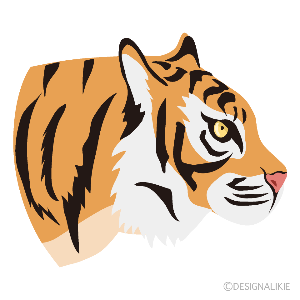 Tiger Profile Illustration Free Png Image Illustoon