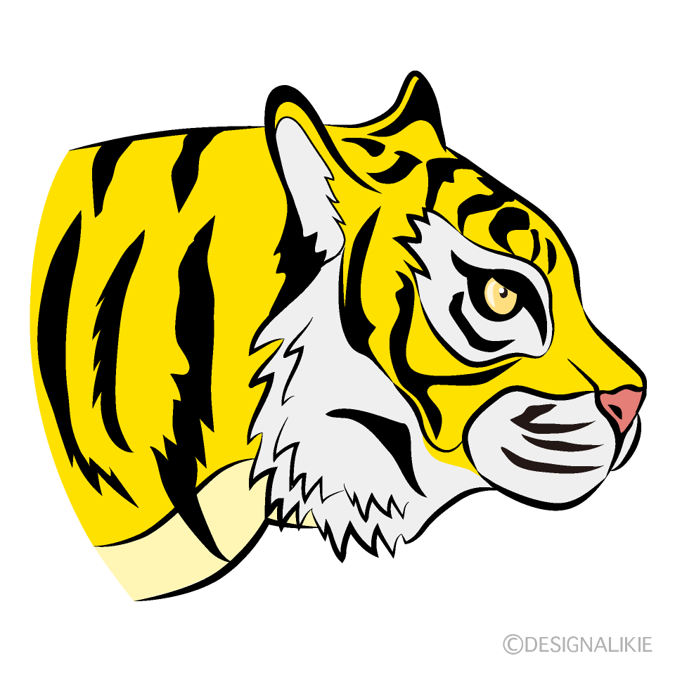 Yellow Tiger Profile