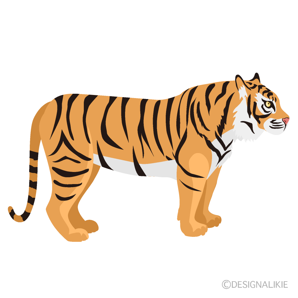 Tiger Side Icon Free PNG Image｜Illustoon