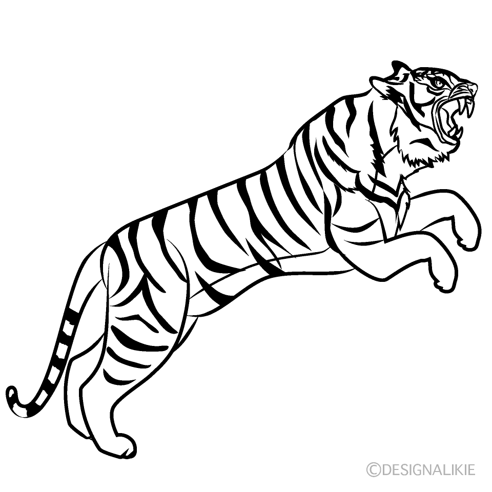 TigerJumping Black and White