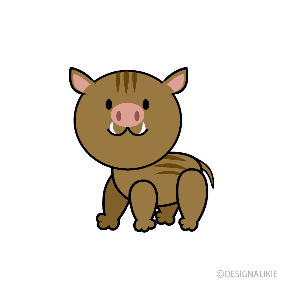 Cute Boar