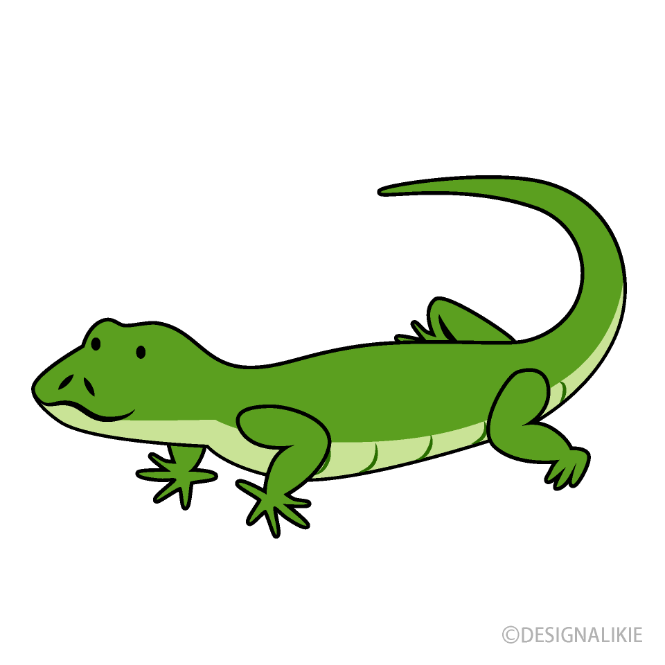 Cute Lizard Clip Art Free PNG Image｜Illustoon