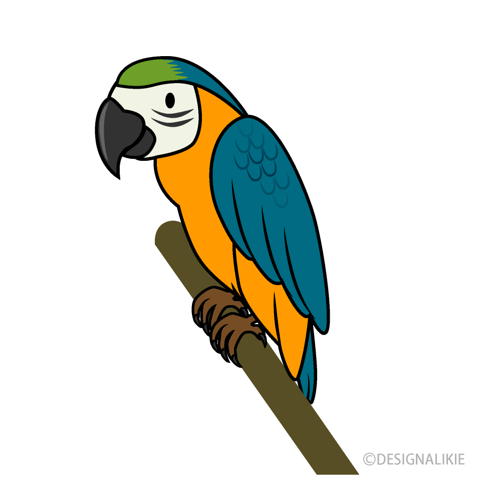 Cute Parrot Clip Art Free PNG Image｜Illustoon