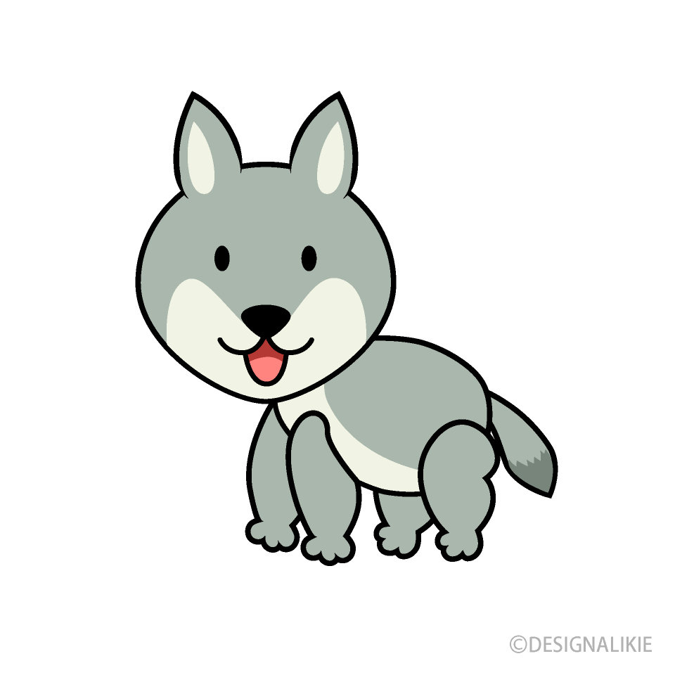 Cute Coyote