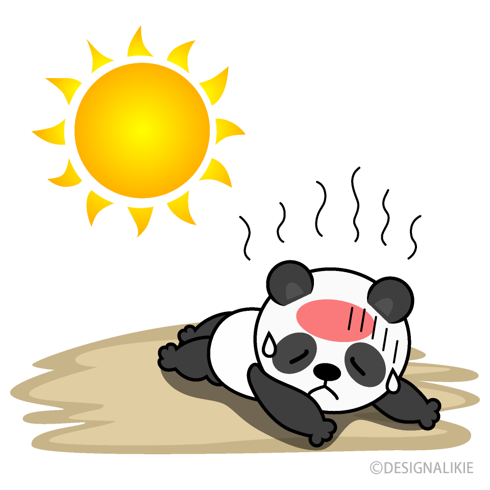 Heat Stroke in Panda