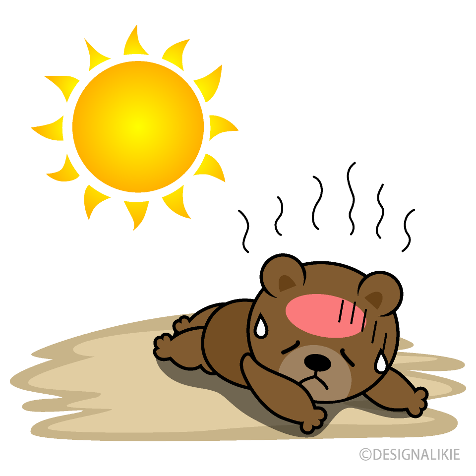 Heat Stroke in Bear Cartoon Free PNG Image｜Illustoon