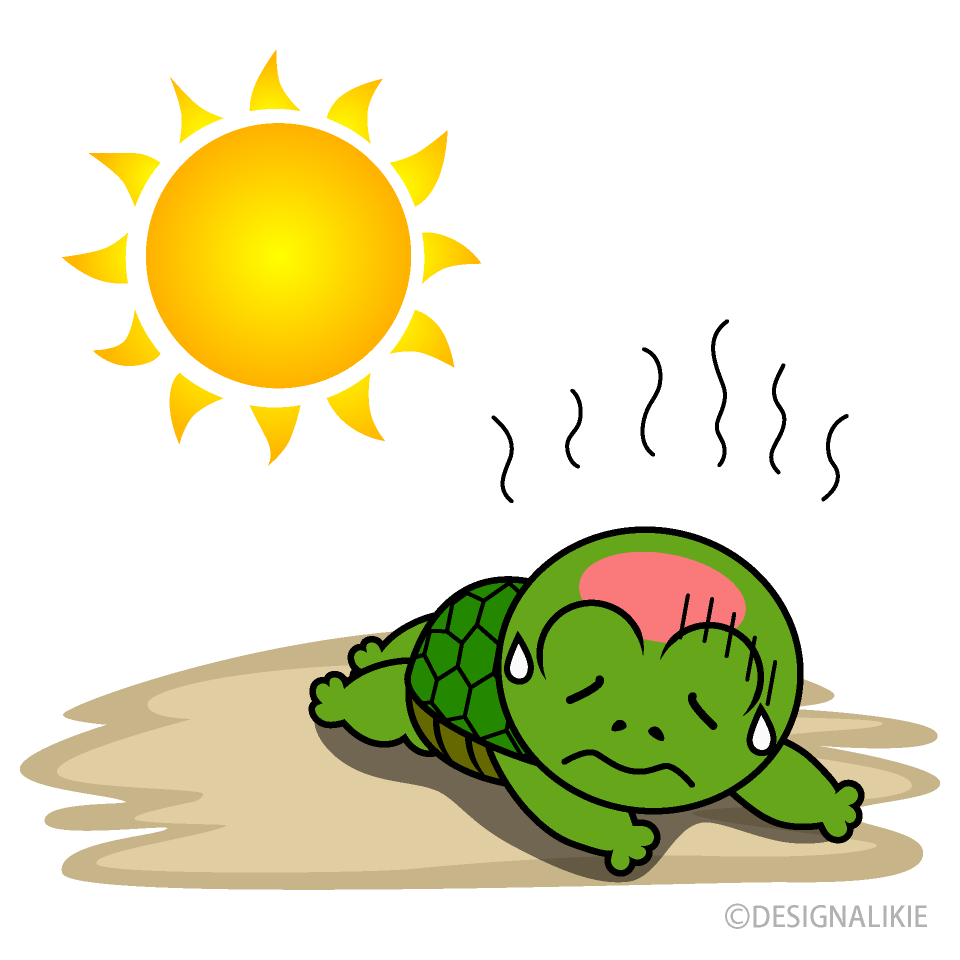 Heat Stroke in Turtle