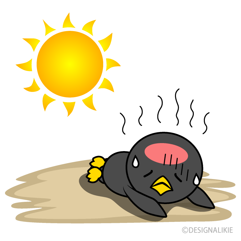 Heat Stroke in Penguin