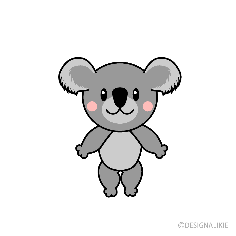 Cute Koala