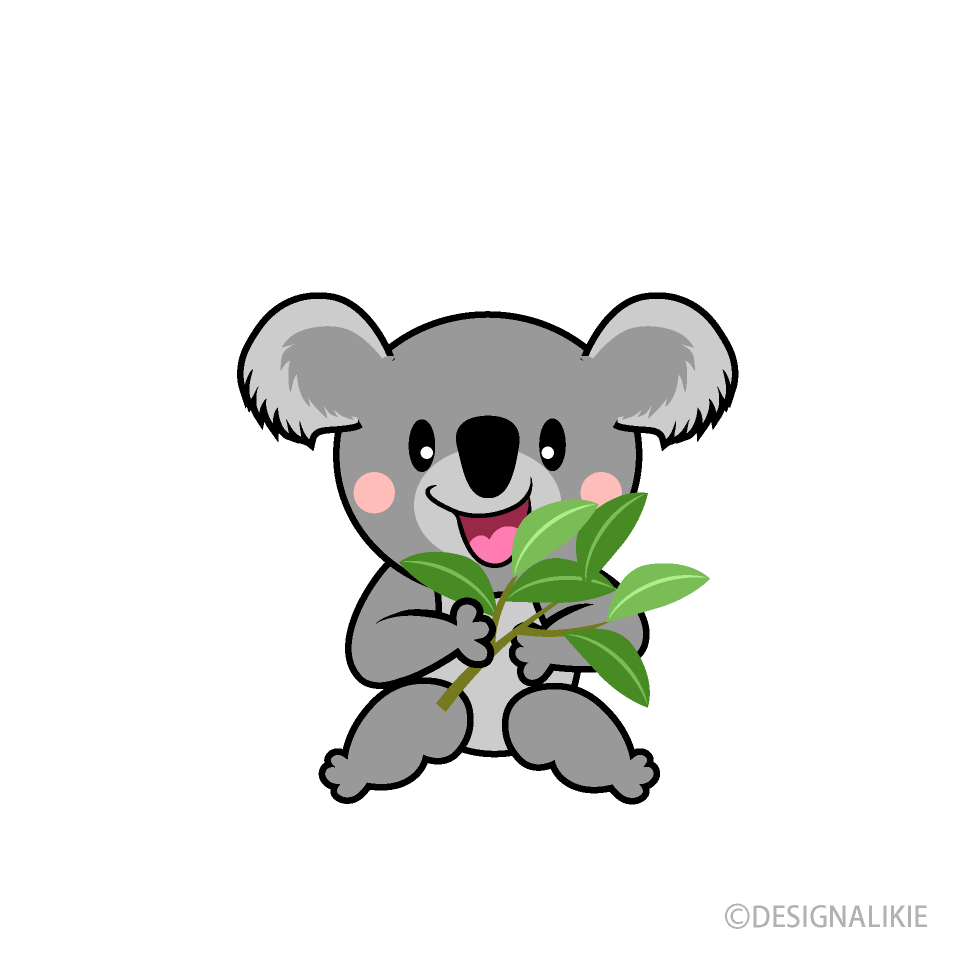Eatting Koala