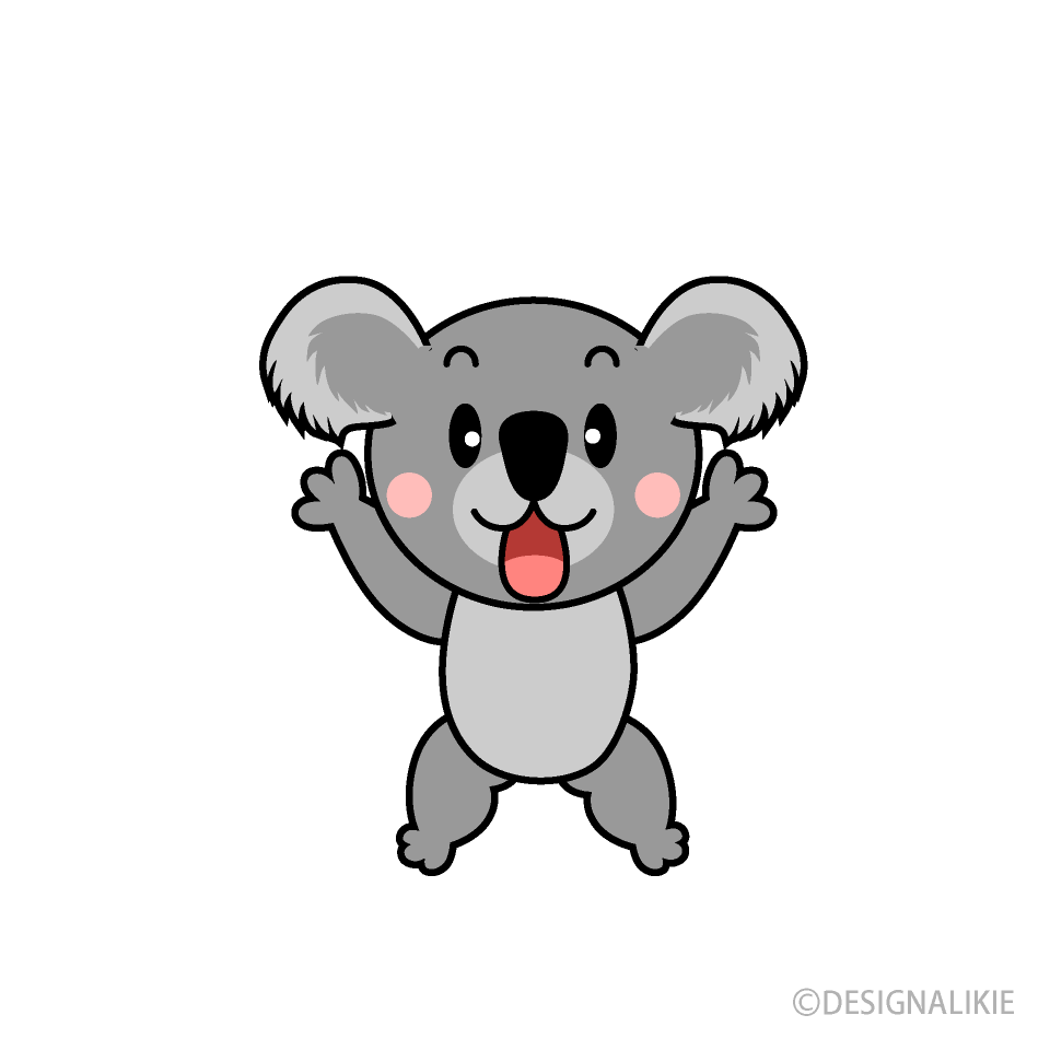 Excited Koala