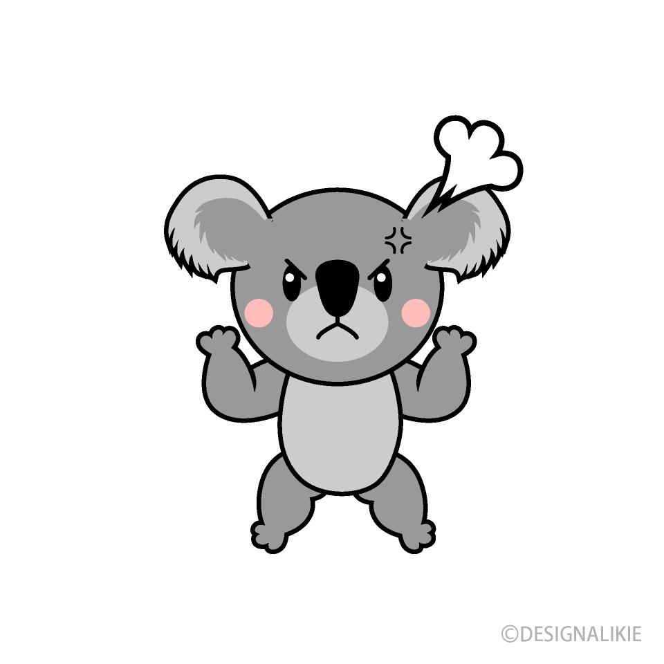 Angry Koala