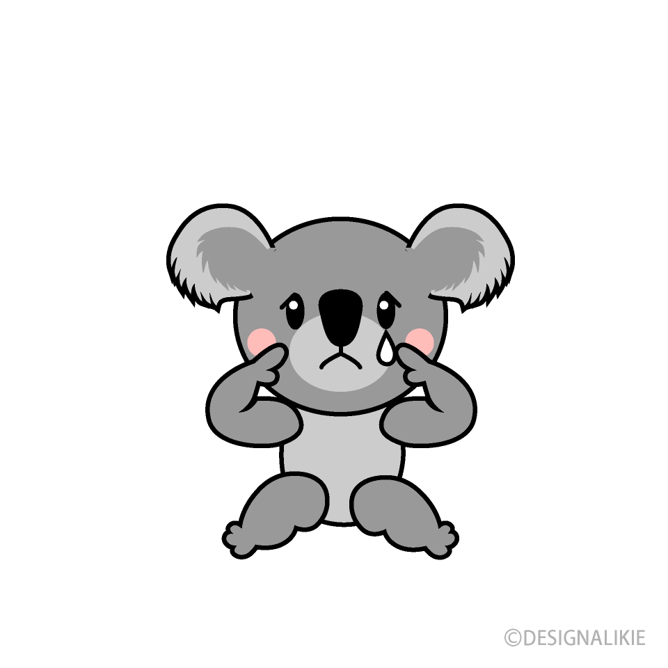 Sad Koala Cartoon Free PNG Image｜Illustoon