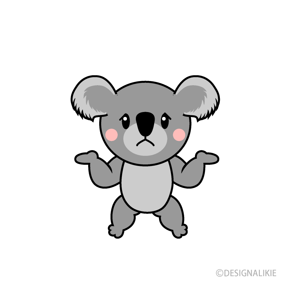 Confused Koala