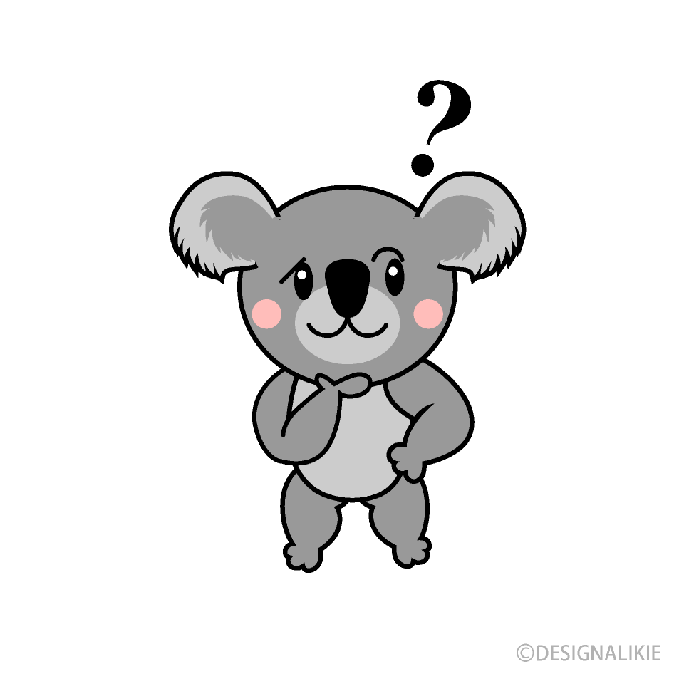 Thinking Koala