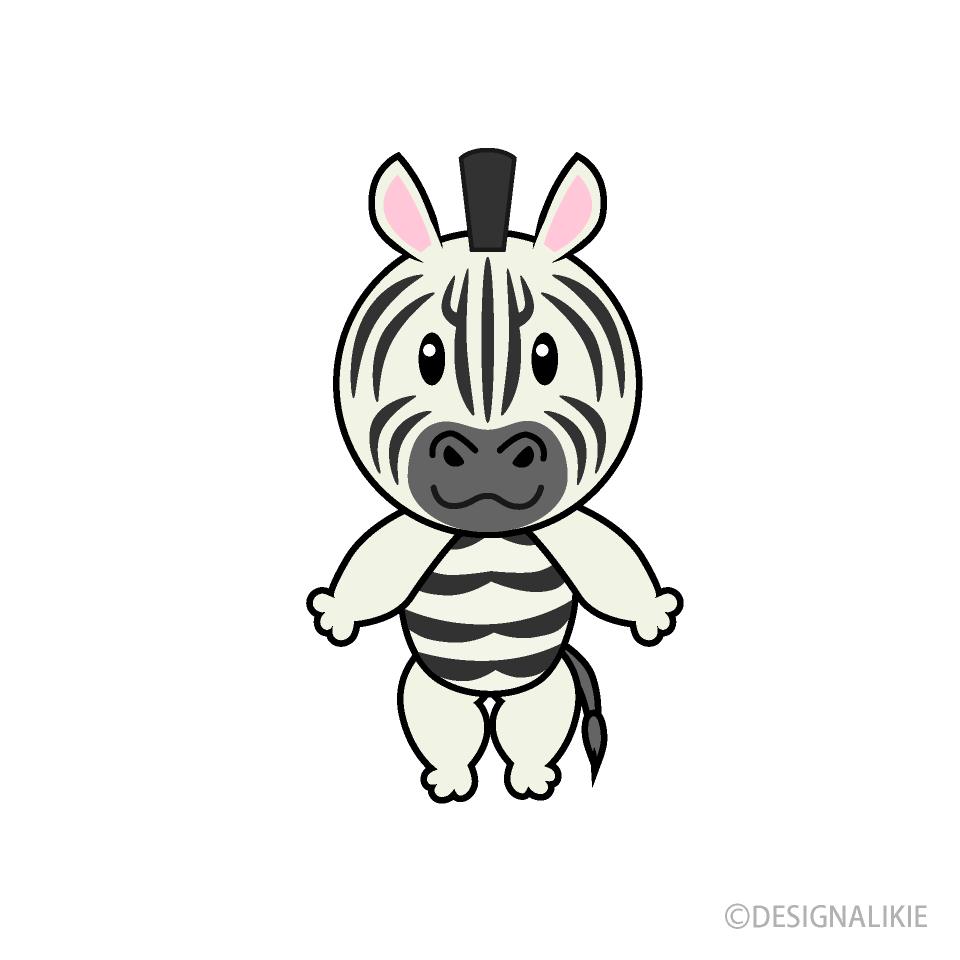 Cute Zebra