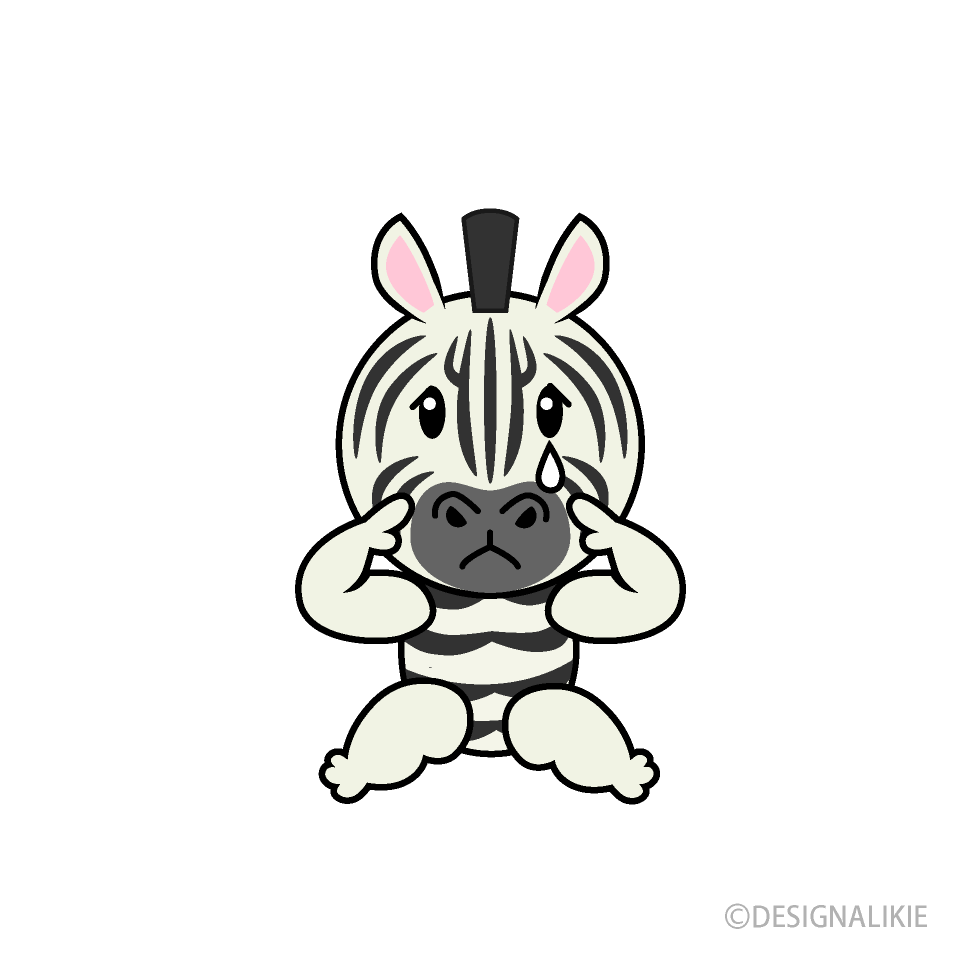 Sad Zebra