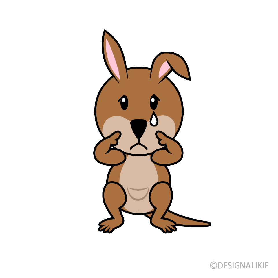 Sad Kangaroo