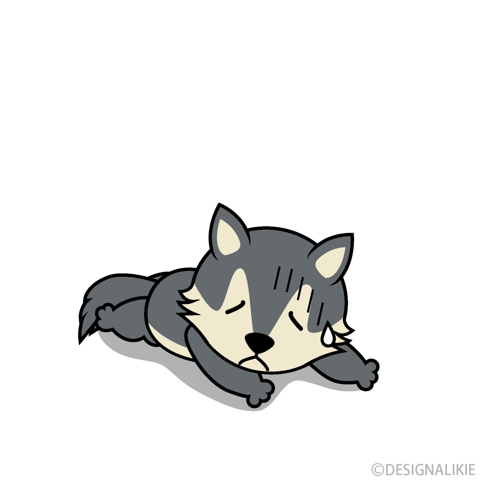 Lobo cansado