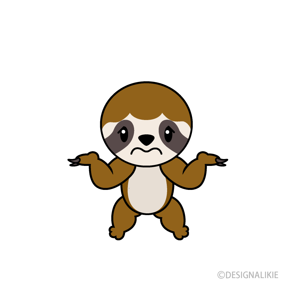 Confused Sloth
