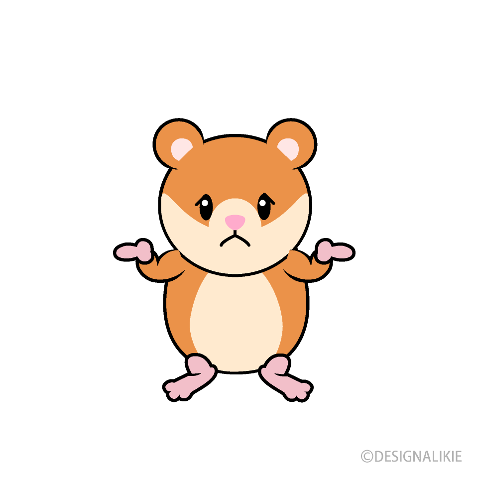 Confused Hamster