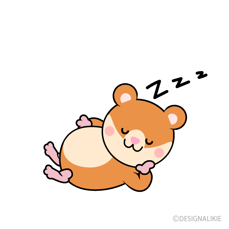 Sleeping Hamster Cartoon Free PNG Image｜Illustoon