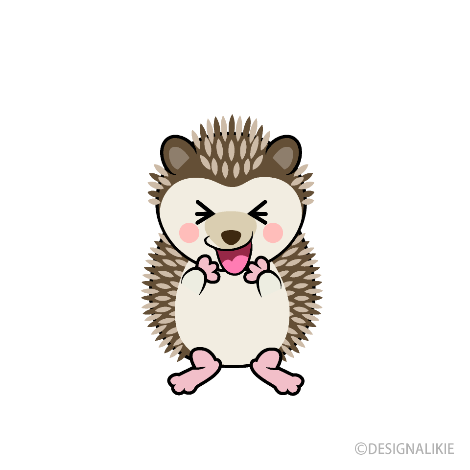 Laughing Hedgehog