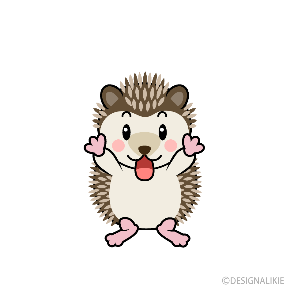 Excited Hedgehog